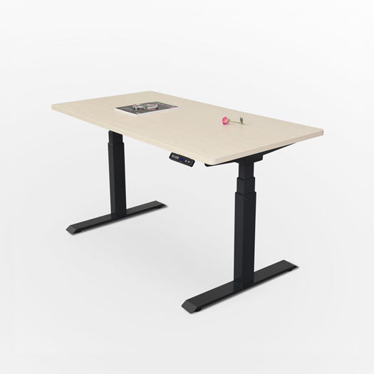 Height Adjustable Desk  D8005